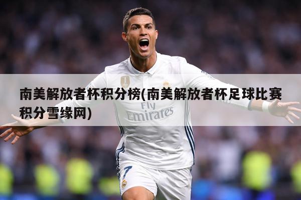 南美解放者杯积分榜(南美解放者杯足球比赛积分雪缘网)