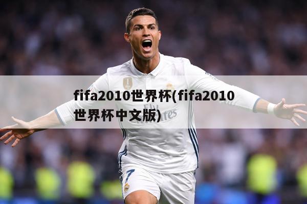 fifa2010世界杯(fifa2010世界杯中文版)