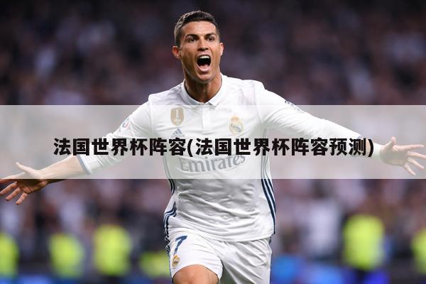 法國世界杯陣容(法國世界杯陣容預測)