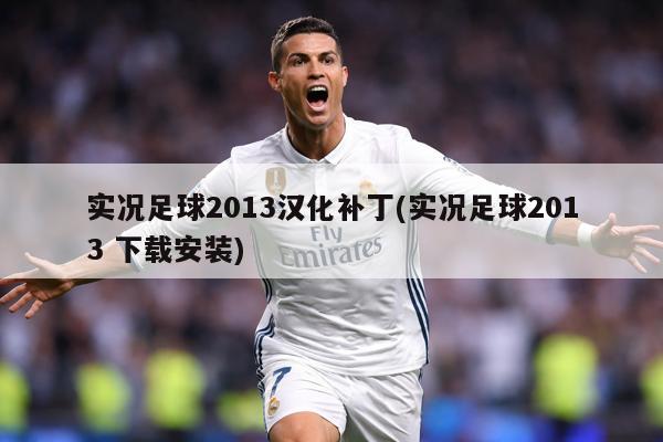 實況足球2013漢化補丁(實況足球2013 下載安裝)