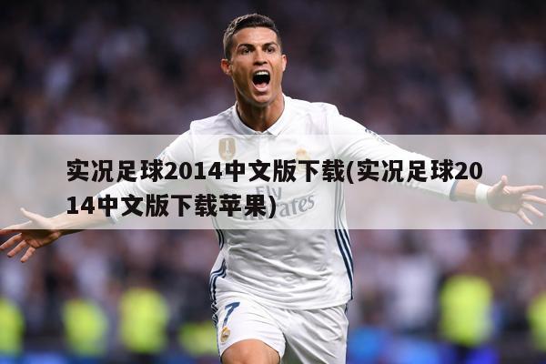 实况足球2014中文版下载(实况足球2014中文版下载苹果)