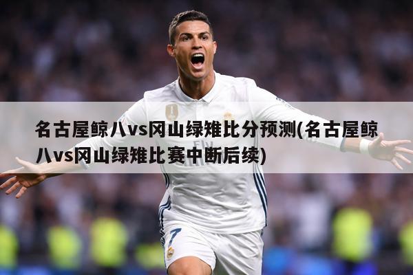 名古屋鲸八vs冈山绿雉比分预测(名古屋鲸八vs冈山绿雉比赛中断后续)
